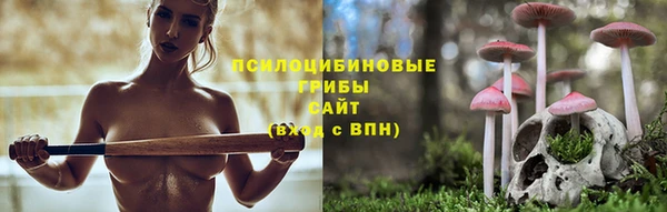 марихуана Абаза