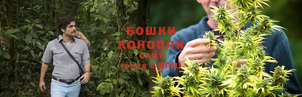 марихуана Абаза