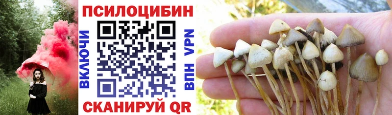 Галлюциногенные грибы GOLDEN TEACHER  Жигулёвск 