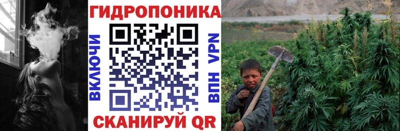 Шишки марихуана конопля магазин Жигулёвск